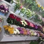 گلسرای سادات