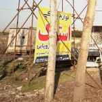 استوک