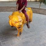 پارک ملی وپناهگاه حیات وحش قمیشلو