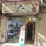 کیتی کت