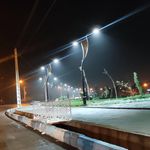 بوستان شاهد