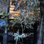 کفش فروشی 361