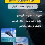 آژانس هواپیمایی یگانه فرد قشم