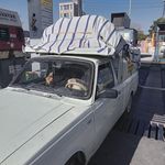 باربری وانت تلفنی رضا شبانه روزی