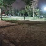 بوستان سرو