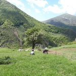 مرکز خدمات جامع سلامت روستایی جنت رودبار