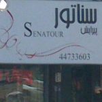 پیرایش سناتور