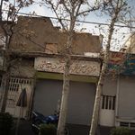 ظروف یکبار مصرف ونوس