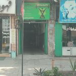 باشگاه ورزشی توحید