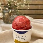 بستنی ایتالیایی چوبیک