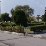 بوستان گلها
