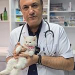 کلینیک دامپزشکی دکتر پُرکار