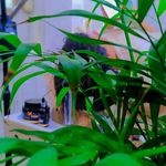 آموزشگاه فیشال و هد اسپا مژگان تیموری