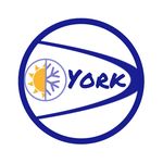 تصفیه آب و هوای تاسیسات یورک