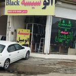 دزدگیر ماجیکار اصغریان