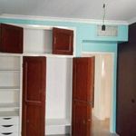 تزئینات و نقاشی ساختمان مدرن