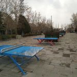 گیم نت سالار