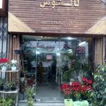 گلسرای کاکتوس
