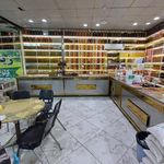 زیتون داوود رشیدی