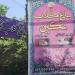 شهر گلاب