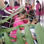 آموزشگاه آرایشگری زنانه مهستان فنی حرفه