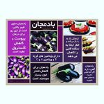 سوپر میوه ویدا (فرجام)