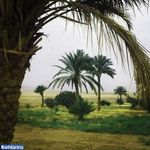 روستای عروسان