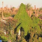 روستای عروسان