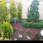 باغبان صفر باهنر بستک آباد