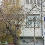 مجتمع پزشکی شفا