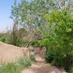 بوستان ایراج