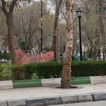 پارک امین