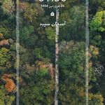 آسمان سپید (قطار + هواپیما + تور)