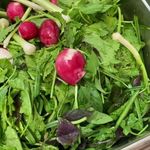 سبزی خردکنی و مواد غذایی خانگی