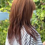 آموزشگاه، سالن زیبایی روشنفکر