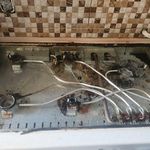 پوریا خداوردی