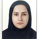 وکیل مینا عسکری مهر