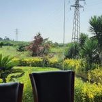 رستوران نارون
