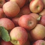 سبزی مارکت گل پونه
