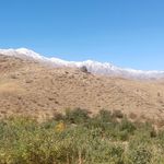 مخابرات مرکزی سرمشهد