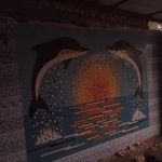 راحله شوکتی