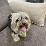 فریناز السادات میر