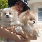 فریناز السادات میر