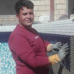 راحله شوکتی