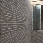 راحله شوکتی