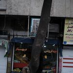 فروشگاه میوه حاجی ارزونی کمیل