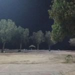 پارک ولایت