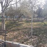 پارک قوم تپه