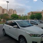 شیشه دودی جعفری