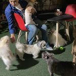 فریناز السادات میر